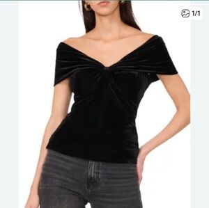 NWOT Parker Velour Top